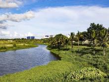 Hình ảnh Bán đất ven hồ sinh thái, ven sông Cổ Cò Nam Đà Nẵng, 100m2, đường 7m5