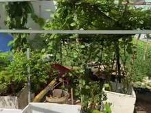 Hình ảnh Bán lô đất nền đuiờng tỉnh lộ 10 bình tân. 74m2