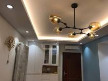 Hình ảnh Cần bán Trang Chủ MB66.COM / Đăng Ký Tặng 66K LOtus Garden Q .Tân Phú
