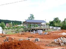 Hình ảnh Nghĩ dưỡng giữa rừng không khí siêu mát mẻ