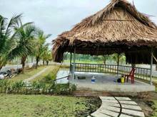 Hình ảnh Cần bán gấp lô đất vườn Nhuận Đức Củ Chi 1ty7 1180m2
