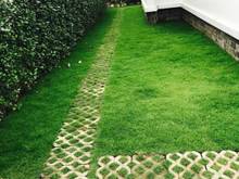 Hình ảnh Đơn lập vườn cây ăn trái view sông khu compound hàng hiếm, NT cơ bản