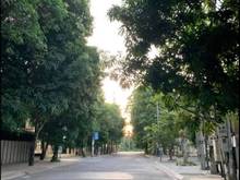 Hình ảnh Mặt đường kinh doanh Trần Huy Liệu khu VIP Phường Hưng Phúc, TP Vinh,