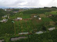 Hình ảnh Bán đất NGỘP hẻm xe hơi đường Lý Thái Tổ, Đamb'ri, Bảo Lộc. View hồ sa