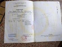 Hình ảnh Nhà Giá Mềm Nhất, Đường số 10, P.Hiệp Bình Chánh, Thủ Đức