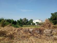 Hình ảnh Cần bán 3000m2 đất thổ cư 2 mặt tiền đường Song Hành, Hóc Môn 30 tỷ