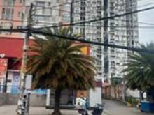 Hình ảnh Ngộp bán gấp nhà Phạm Văn Chiêu P9 Gò Vấp HXH 105m (N5 D21) giá 6.6 tỷ