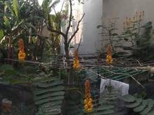 Hình ảnh Bán Đất Hiệp Thành Quận 12 ngang 5 dài 20 giá chỉ 3 tỷ 9
