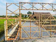 Hình ảnh Nhà vườn Củ Chi đường Ba Sa, 552m2 giá 1ty497 sổ hồng riêng, có ao cá