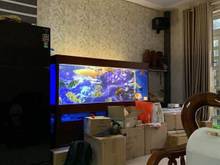 Hình ảnh Bán nhà hẻm 8M đường Cộng Hòa, Phường 13, Tân Bình, 11*16.4, 4 tầng
