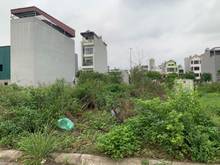 Hình ảnh Bán khẩn 359m2 đất xóm 8 Đông Dư, phân lô, xây biệt thự đều được