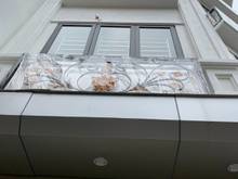 Hình ảnh Vĩnh Hưng - Lô góc kinh doanh - Ngõ ô tô - 20m ra phố ô tô tránh