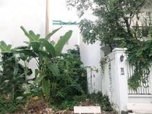 Hình ảnh Chủ Cần Tiền Bán Gấp Lô Đất KDC Công Ích Phú Mỹ, P.PM, Quận 7