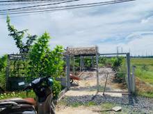 Hình ảnh Đất vườn củ chi 500m2, đã hoàn thiện nhà vườn cực đẹp, sổ hồng riêng.