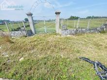 Hình ảnh Đất vườn củ chi giá ngộp 1000m2 vị trí đẹp, sổ hồng riêng.