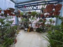 Hình ảnh Nhà Cực Xịn - Xe Tải Tránh - 55M2 - Lý Thánh Tông , Tân Phú
