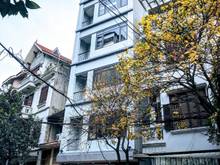 Hình ảnh Chung cư Quận Thanh Xuân 36m² 1PN