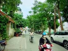 Hình ảnh Bán Nhà Phố Trích Sài, Lô Góc, Sát Hồ Tây, 128m2, MT 8m, chỉ 9.5 tỷ