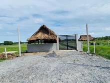 Hình ảnh Đất vườn củ chi 550m2 đã làm hạ tầng, sẵn nhà chồi, sổ hồng riêng.