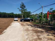 Hình ảnh Bán đất Bình Phước 280m2 có 100m2 đất ở đã có sổ riêng