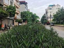 Hình ảnh Bán nhà mặt phố Đặng Thùy Trâm - DT 42m2, MT 3.6m, Giá 12.8 tỷ