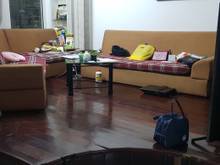 Hình ảnh Bán nhà cực đẹp Đất Thánh 44m2 chỉ 4.3 tỷ.TL