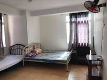 Hình ảnh Hiện tại bên mình cho nữ thuê phòng SEAVIEW 1: