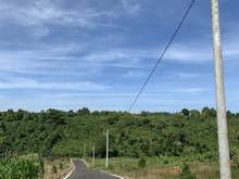 Hình ảnh Cần Bán Nhanh Lô Đất Giá Rẻ Tại Bảo Lâm View Đẹp, Đường Xe Hơi Tận Nơi