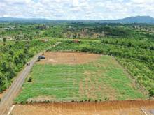 Hình ảnh Bán 410M Đất Trung Tâm  Lộc An - Giá  3,5 Triệu , Sổ Hồng Riêng.