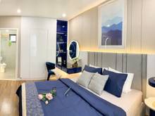 Hình ảnh Cần bán Emerald Precinct Celadon City Tân Phú 2 Phòng ngủ, thương lợng