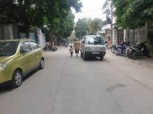 Hình ảnh Bán lô đất mặt đường phố Ngọc Trì, Thạch Bàn , Long Biên
