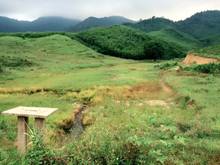 Hình ảnh Chính chủ cần bán đất làm trang trại thị xã Ninh Hòa 300tr/ha
