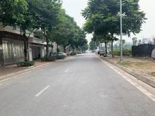 Hình ảnh Bán siêu biệt thự 245,5m Căn góc khu đô thị mới Việt Hưng