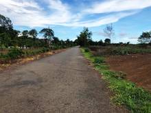 Hình ảnh Bán đất làm kho xưởng, Đầu tư đất 1000m2 ngay nhà máy găng tay Phước B