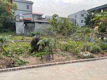 Hình ảnh Bán giúp người nhà 331m2 tại thôn Tô Khê, xã Phú Thị, lô góc.