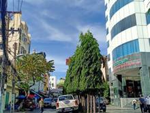 Hình ảnh Số 3/ Thành Thái, Phường 14, Quận 10, 5 Tầng, 51 m2, 10 tỷ.