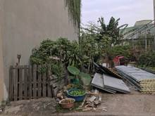 Hình ảnh Chính chủ cần tiền trả nợ bán gấp lô đất đẹp đường ô tô xóm 8 Đông Dư