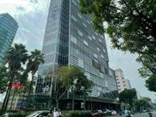 Hình ảnh Phạm Ngọc Thạch P.6 Quận 3. DT: 5x20m (100m2) 5 tầng - HĐT: 100 triệu.