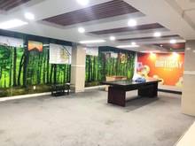 Hình ảnh Phường 2 VIP Tân Bình, 6 tầng BTCT, diện tích sàn gần 1000m2