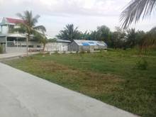 Hình ảnh Bán Đất Xã Bình Mỹ, Huyện Củ Chi 13m x 60m, DT: 780m2 giá: 3.2 tỷ