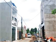 Hình ảnh bán gấp đất phường tân hạnh, biên hòa, gần UBND, 61m2 sổ hồng giá 1t6