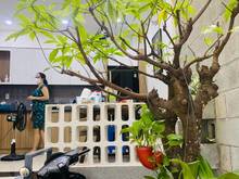 Hình ảnh Bán nhà cực đẹp Thành Mỹ P8 Tân Bình 48m2 4T chỉ 6 tỷ 5.