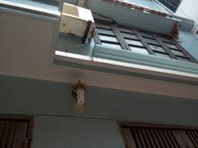 Hình ảnh Bán nhà riêng ngõ 36 dịch vọng hậu giá 4.15 tỷ, 41mx4t, đẹp, giao ngay