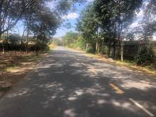 Hình ảnh Bán 21.287m2 đất MT ĐH619, Long Nguyên, Bàu Bàng, DT: 60x328, 32.5 tỷ