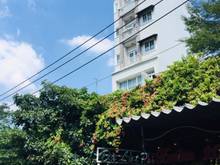 Hình ảnh Nhà 3 Mặt Tiền Nhật Tảo , 8x22 ( công nhận 183m2),  5 tầng, giá 45 tỷ