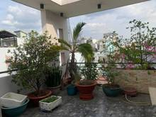 Hình ảnh Bán Nhà Hẻm Xe Tải Tránh Bàu Cát ,110m2-4 Tầng-13 Tỷ-Tân Bình