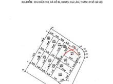 Hình ảnh Chính chủ  cần thanh khoản nốt vài lô đấu giá Voi Phục, Cổ Bi, Gia Lâm