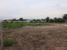 Hình ảnh Bán đất Tân Thạnh Đông, Huyện Củ Chi 30m x 100m, DT: 3000m2 giá: 7 tỷ
