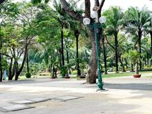Hình ảnh Bán nhà hẻm 8m Phổ Quang P2 Tân Bình 70m2 chỉ nhỉnh 9 tỷ.TL