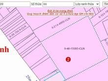 Hình ảnh Bán 1.6 hecta mặt tiền xã Long Đức,Long Thành đi sân bay quốc tế 8km